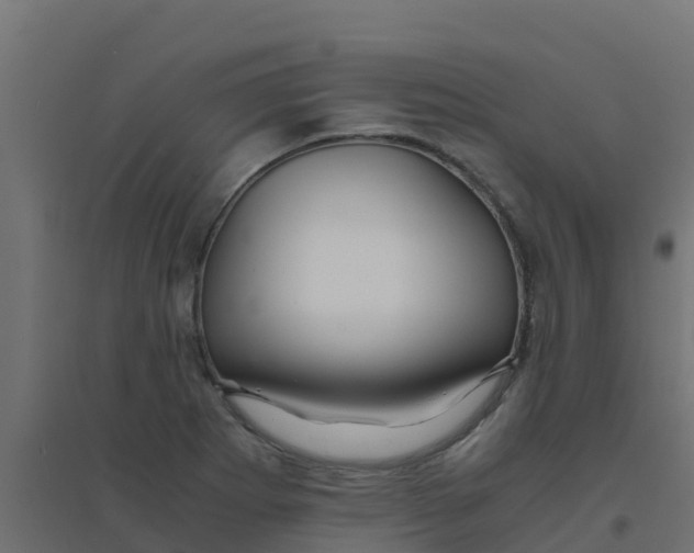 X0000094181273200711241545