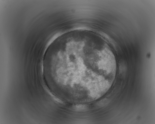 X0000094181274200711241545