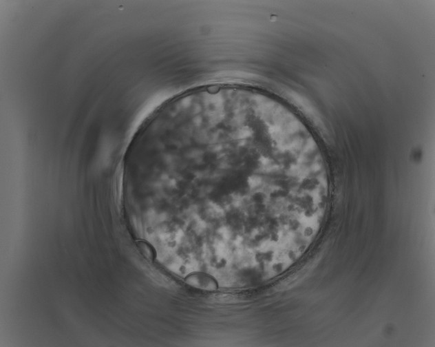 X0000094181275200711241545