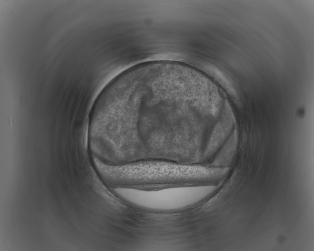 X0000094181276200711241545
