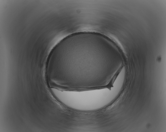 X0000094181277200711241545