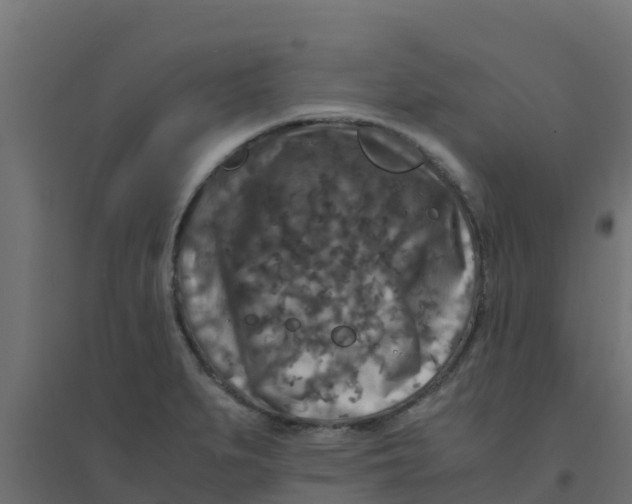 X0000094181279200711241545