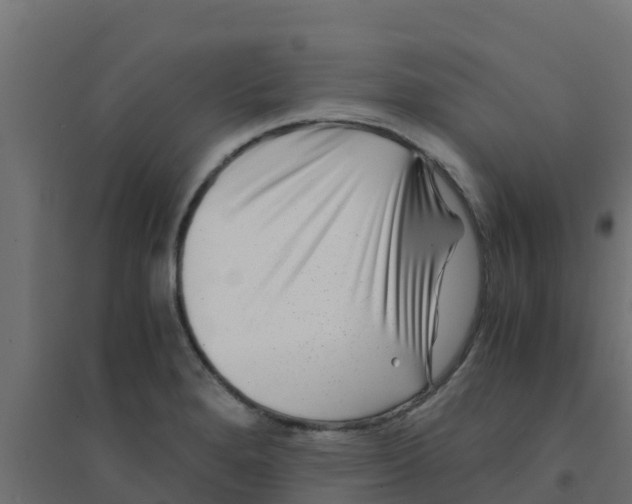 X0000094181280200711241545