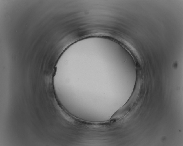 X0000094181281200711241545