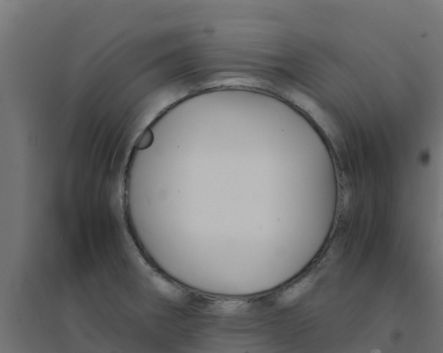 X0000094181282200711241545