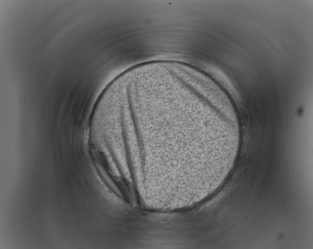 X0000094181284200711241545