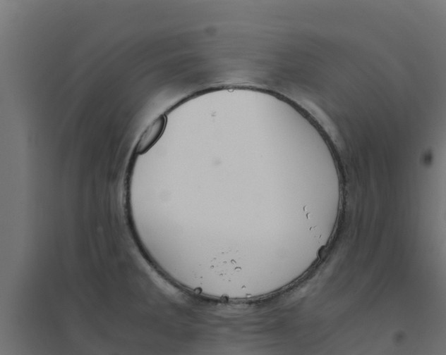X0000094181285200711241545
