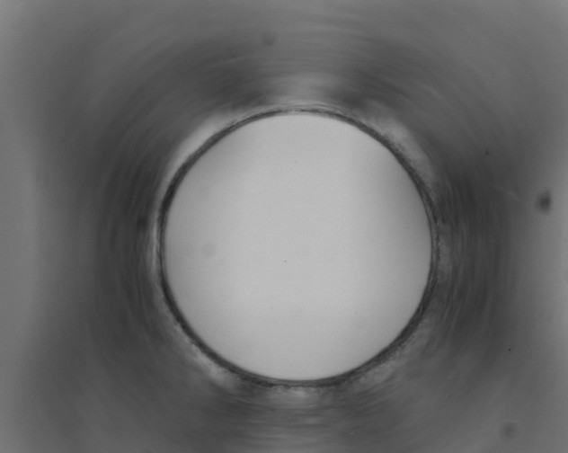 X0000094181286200711241545