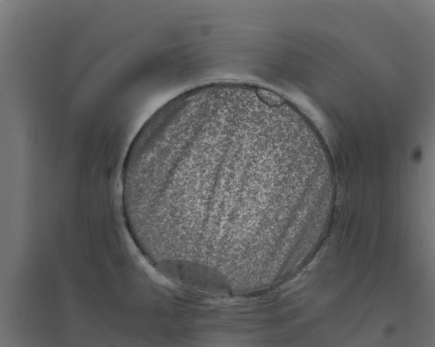 X0000094181287200711241545