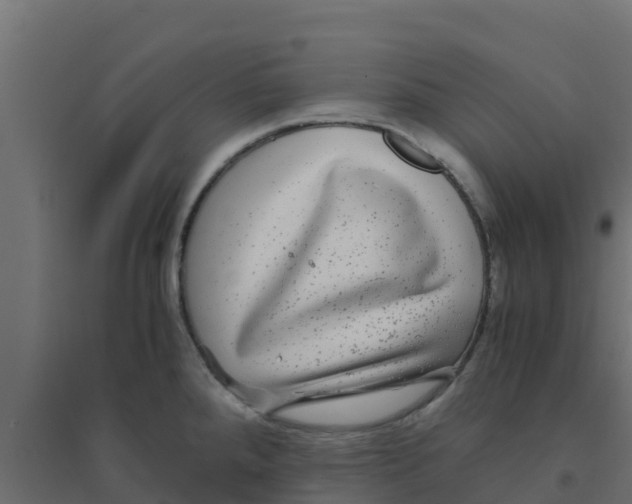 X0000094181288200711241545