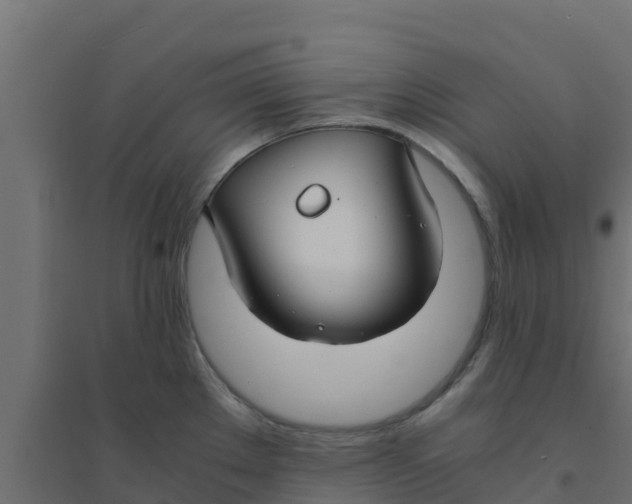 X0000094181289200711241545