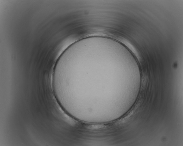 X0000094181290200711241545