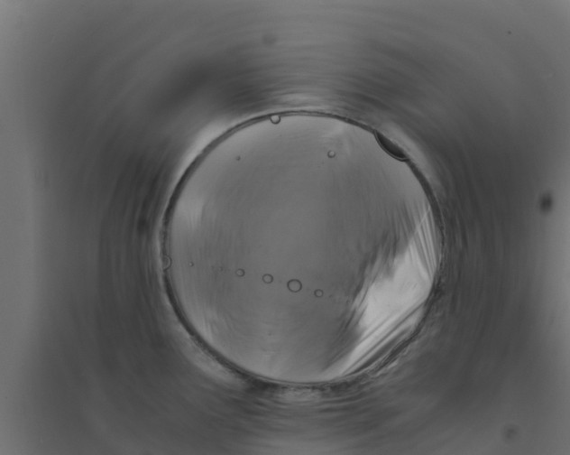 X0000094181291200711241545