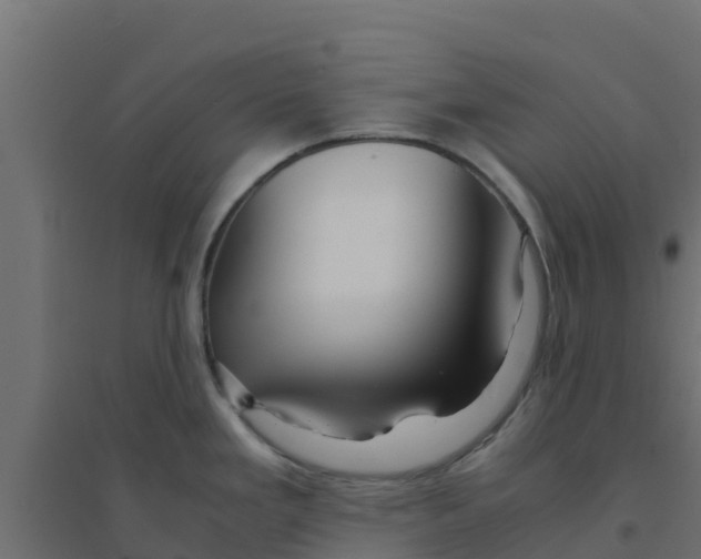 X0000094181293200711241545