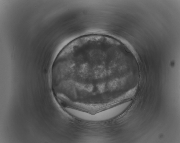 X0000094181295200711241545