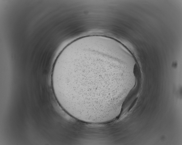 X0000094181296200711241544