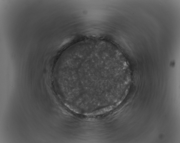 X0000094181297200711241544