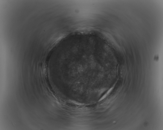 X0000094181298200711241544
