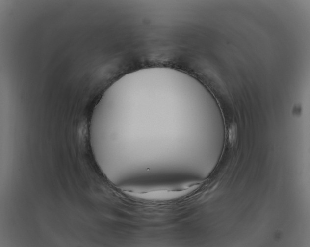 X0000094181299200711241544