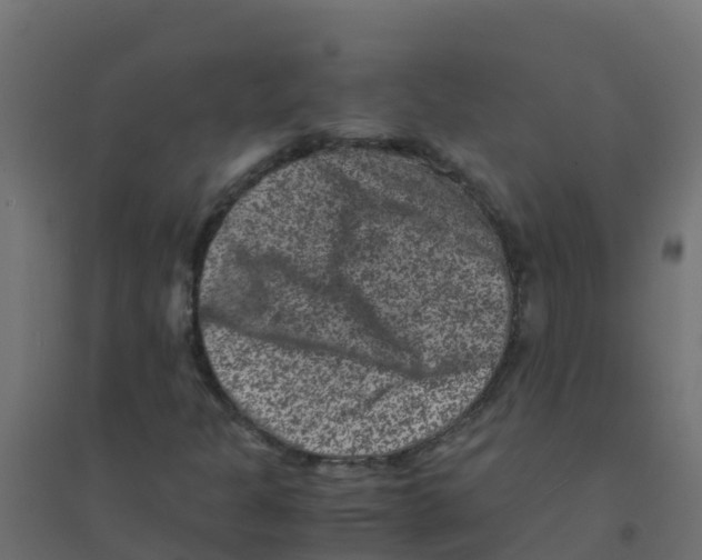 X0000094181301200711241544