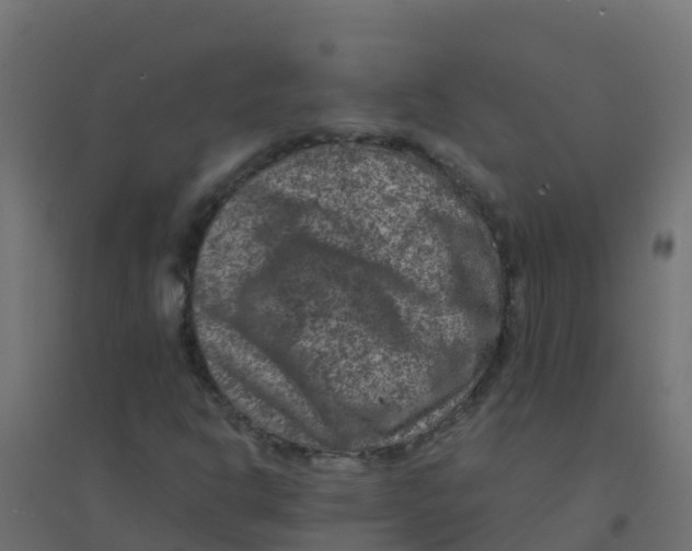 X0000094181302200711241544
