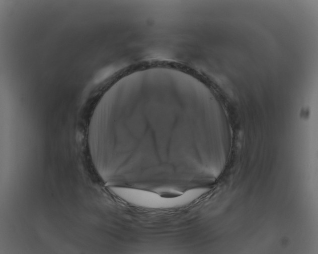 X0000094181303200711241544