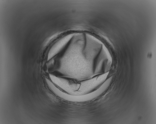 X0000094181304200711241544