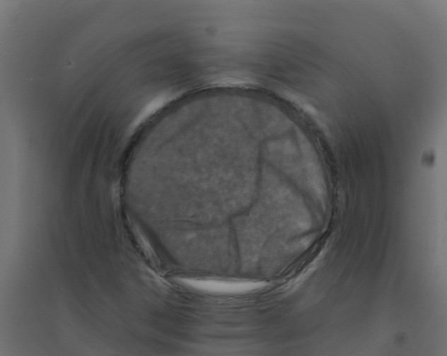 X0000094181306200711241544