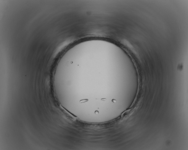X0000094181307200711241544