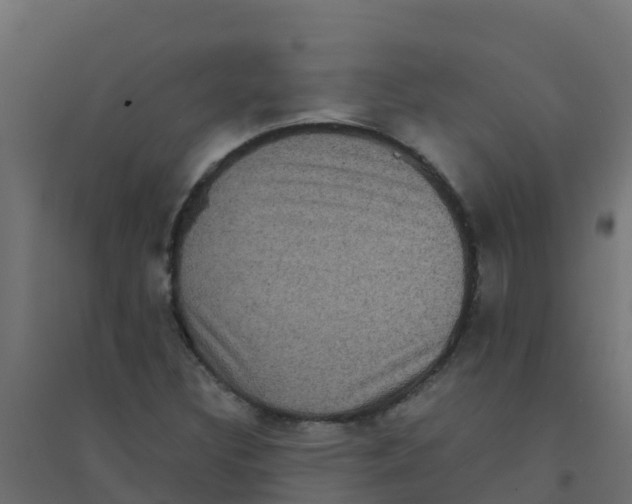 X0000094181308200711241544