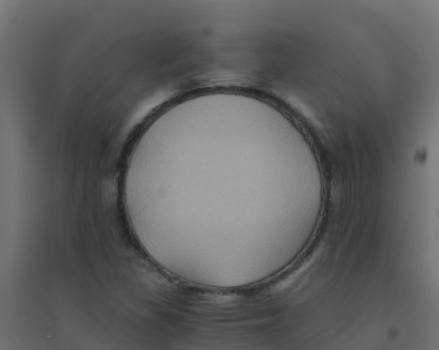X0000094181309200711241544