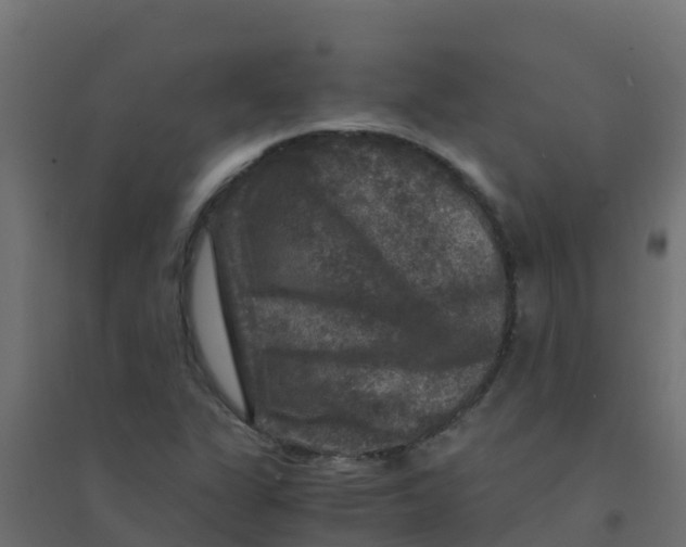 X0000094181311200711241544