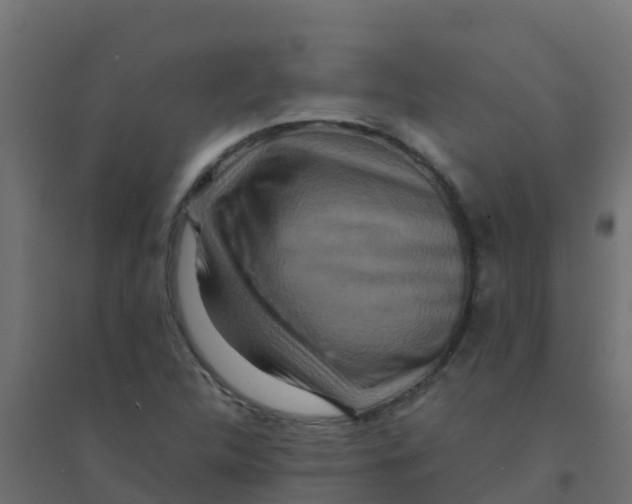 X0000094181312200711241544