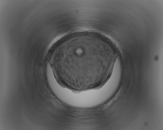 X0000094181314200711241544