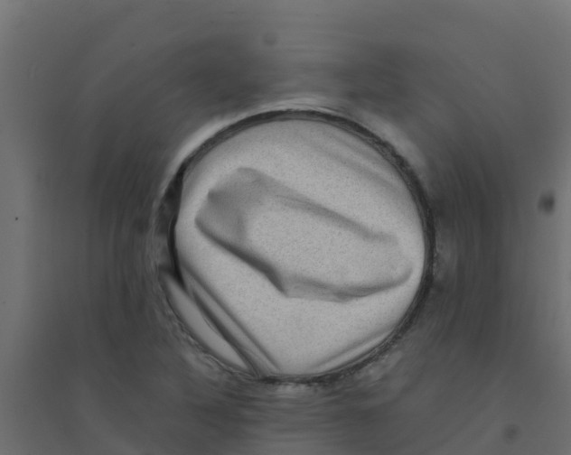 X0000094181316200711241544