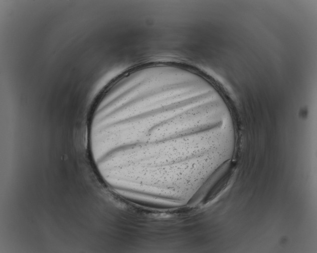 X0000094181317200711241544