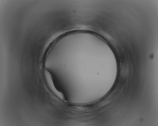 X0000094181318200711241544