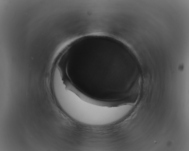 X0000094181319200711241544