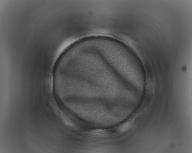 X0000094181320200711241544