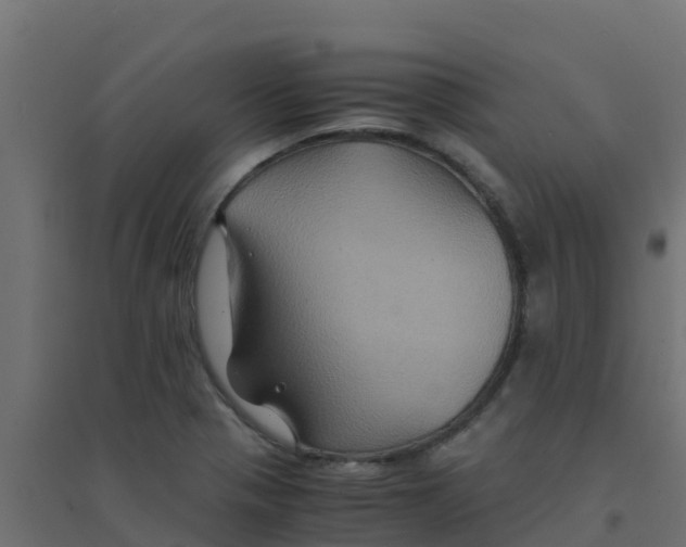 X0000094181321200711241544