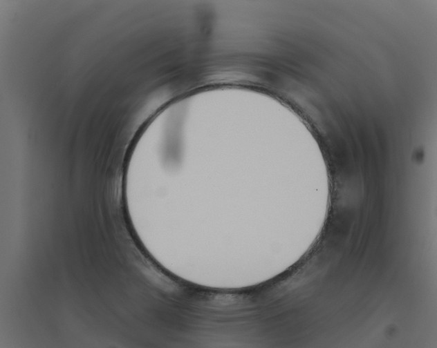 X0000094181322200711241544