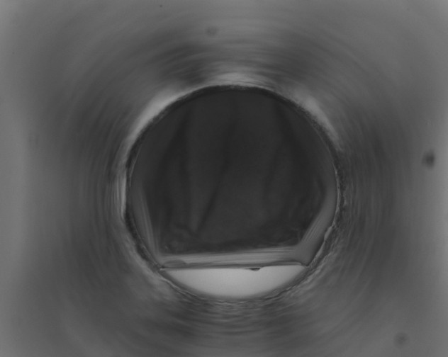 X0000094181323200711241544