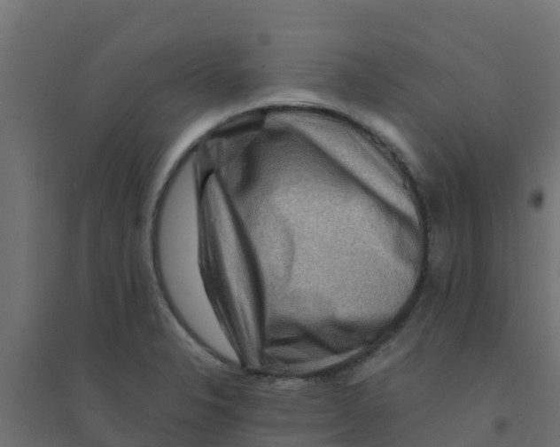 X0000094181326200711241544