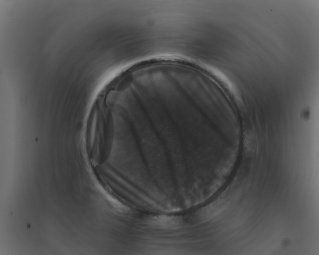 X0000094181327200711241544