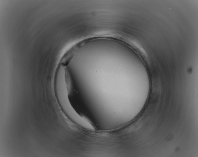 X0000094181328200711241544