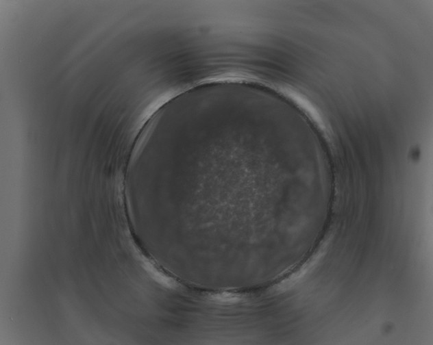 X0000094181329200711241544