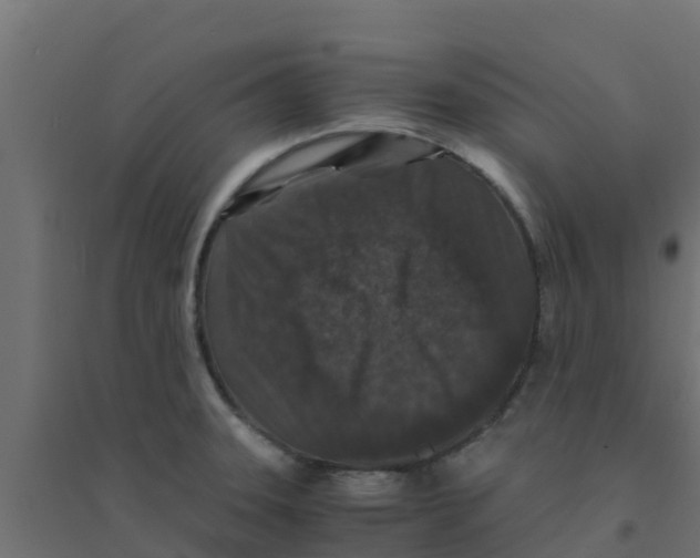 X0000094181331200711241544