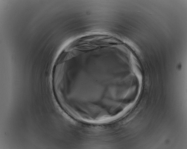 X0000094181334200711241544