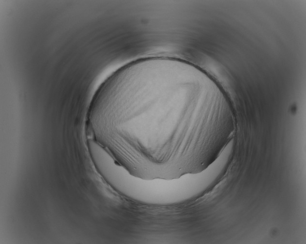 X0000094181336200711241544