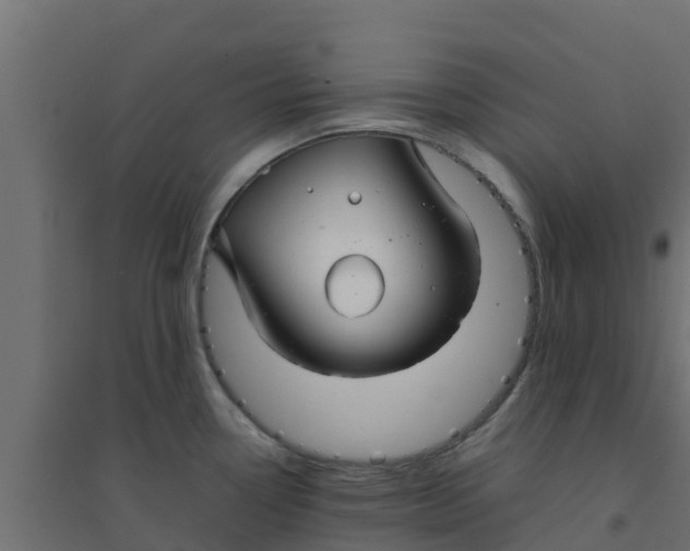 X0000094181338200711241544